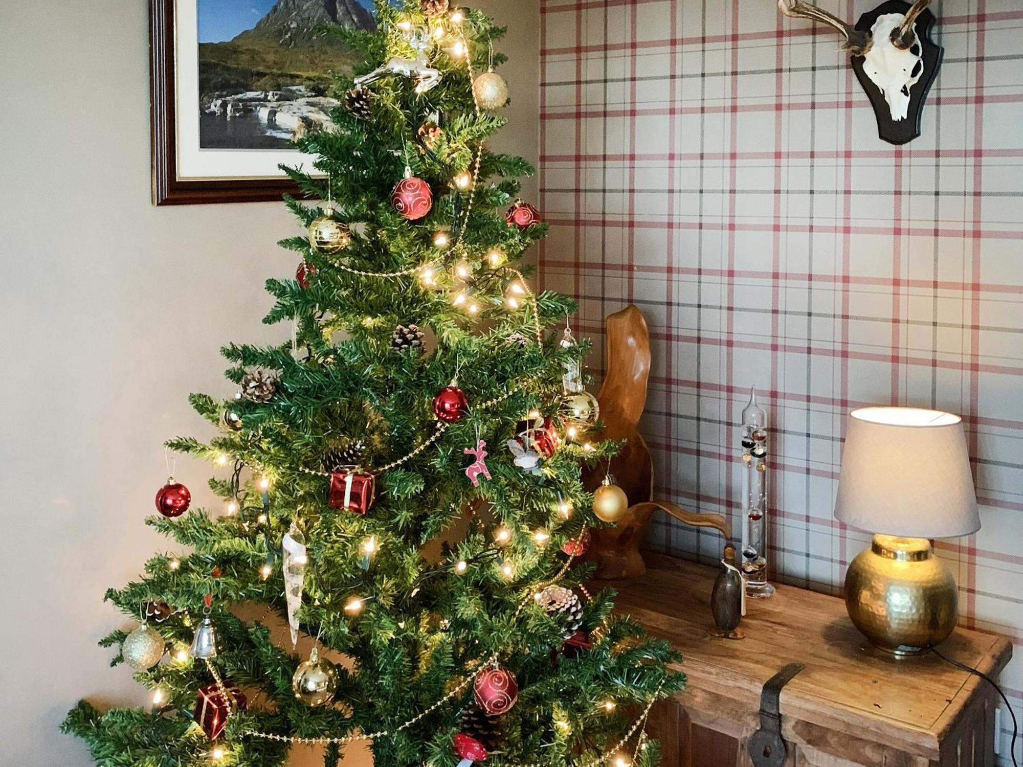 Ardross Villa Comrie Bagian luar foto