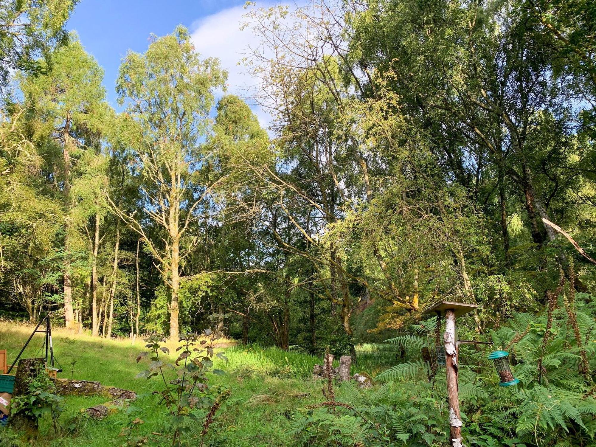 Ardross Villa Comrie Bagian luar foto